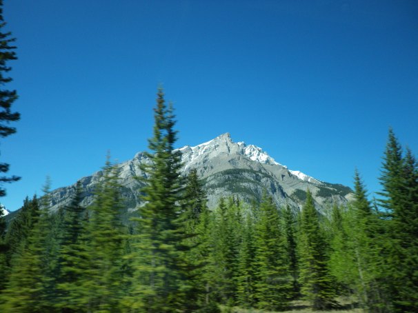 2016-05-03 00.11.23.jpg